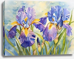 Постер Bearded iris
