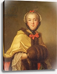 Постер Натье Жан-Марк Portrait of Louis-Henriette de Bourbon-Conti, with muffler