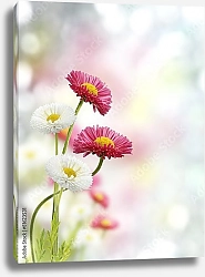 Постер Весенние цветы в солнечный день