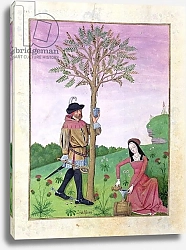 Постер Тестард Робинет (бот) Ms Fr. Fv VI #1 fol.131r Lavender, Hellebore, and a relative of the Cucumber family
