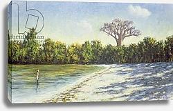 Постер Уиллис Тилли (совр) Fishing in Africa, 1996