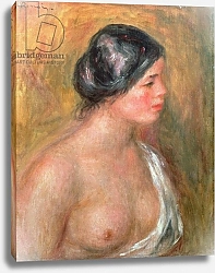 Постер Ренуар Пьер (Pierre-Auguste Renoir) Portrait of Madeleine Bruno, 1913