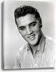 Постер Presley, Elvis 6