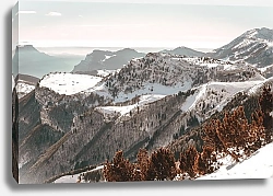 Постер Лесистые горы под снегом