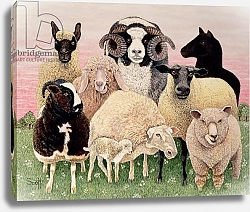 Постер Скотт Пэт (совр) Shepherds Delight