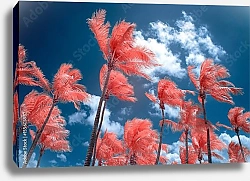 Постер Розовые пальмы и синее небо