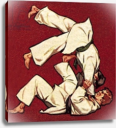 Постер МакКоннел Джеймс Judo