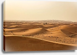 Постер Пески пустыни 1