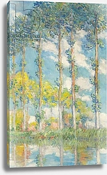 Постер Моне Клод (Claude Monet) The Poplars; Les Peupliers, 1891