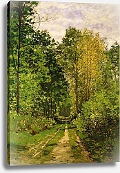 Постер Моне Клод (Claude Monet) Wooded Path, 1865
