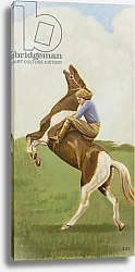 Постер Ханна Дункан (совр) Nova on Rearing Horse