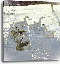 Постер Истон Тимоти (совр) Geese Against the Light