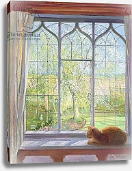 Постер Истон Тимоти (совр) Window in Spring, 1992