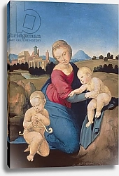 Постер Рафаэль (Raphael Santi) The Esterhazy Madonna, c.1507-08
