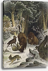 Постер Школа: Европейская Animals and plants of the Forest of Bialowicz, Lithuania