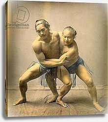 Постер Школа: Японская 19в. Sumo wrestlers, c.1880