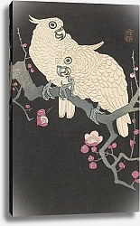 Постер Косон Охара Two cockatoo and plum blossom