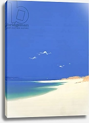 Постер Миллер Джон (совр) Tresco, Summer, 2001