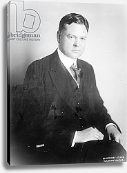 Постер Американский фотограф Herbert Hoover, c.1910-20
