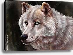 Постер Белый волк, портрет