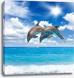 Постер Три прыгающих дельфина