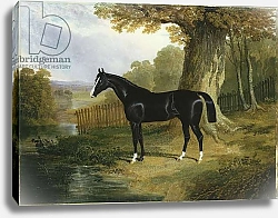 Постер Херринг Джон A Dark Hunter in a River Landscape, 1832