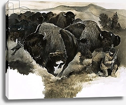 Постер Бэкхаус Д. (совр) Charging buffalo