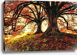 Постер Осенние деревья 1