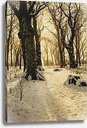 Постер Монстед Петер A Wooded Winter Landscape with Deer, 1912