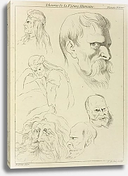 Постер Рубенс Петер (Pieter Paul Rubens) Five studies of men’s heads displaying various hair styles, beards and mustaches; one seated figure, half-length