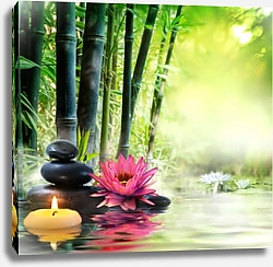 Постер Massage in nature - lily, stones, bamboo - zen concept