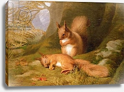 Постер Squirrels in a Wood, 1874