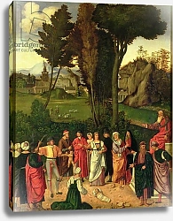 Постер Джорджоне The Judgement of Solomon, 1505