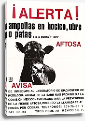 Постер Американское ИнфоАгенство AFTOSA: poster warning against foot-and-mouth disease