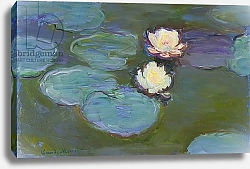 Постер Моне Клод (Claude Monet) Nympheas, 1897-8