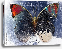 Постер Бабочка на синем гранж фоне