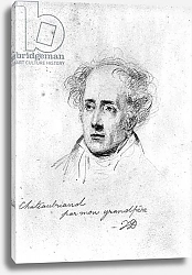 Постер Верне Эмиль Portrait of Francois Rene Vicomte de Chateaubriand, c.1829