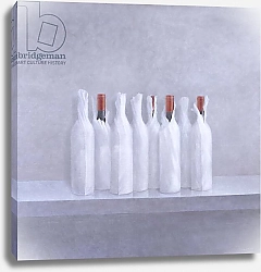 Постер Селигман Линкольн (совр) Wrapped bottles on grey, 2005