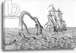 Постер Школа: Английская 19в. The Sea Serpent, illustration from John Gibson's 'Monsters of the Sea', 1887