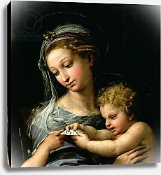 Постер Рафаэль (Raphael Santi) The Virgin of the Rose, c.1518 2