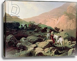 Постер Ковалевский Павел The Caucasus, 1872