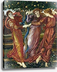 Постер Берне-Джонс Эдвард Garden of the Hesperides, 1869-73