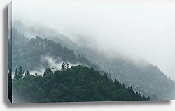 Постер Туманные леса на склонах холмов