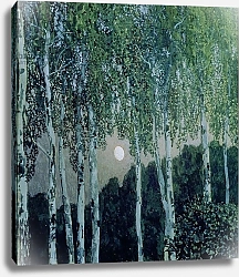 Постер Головин Александр Birch Trees