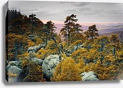 Постер Польша, Осенний лес в горах