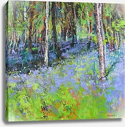 Постер Пауль Сильвия (совр) Bluebells and Birches