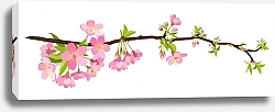 Постер Ветка цветущей вишни. Панорамный вектор