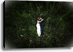 Постер Счастливая невеста и стильный жених, лежащие на траве