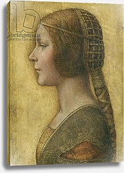 Постер Леонардо да Винчи (Leonardo da Vinci) Profile of a Young Fiancee