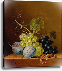 Постер Блумерс Арнольдус Grapes, plums, raspberries, flowers and an acorn on a wooden ledge